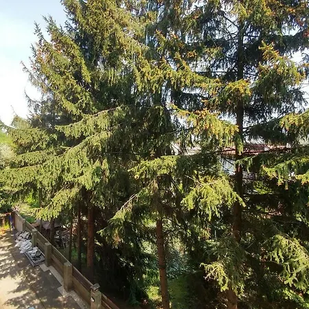 Apartament Rezydencja Wloska Apartment